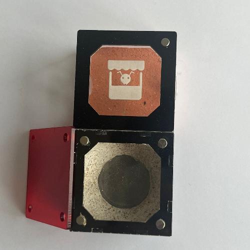 Antmerchant Founding nest